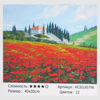 Картини за номерами HCEG 30796 (30)  "TK Group", "Макове поле", 40*30см, в коробці