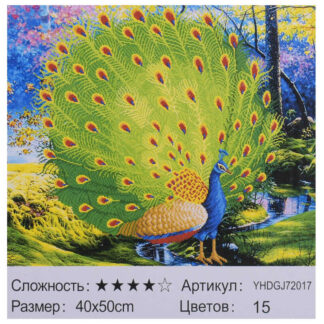 Картина по номерам + Алмазная мозайка 2в1 YHDGJ 72017 (30) "TK Group", 50х40см, в коробці