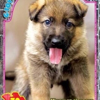 Пазлы 70 эл. "G Toys" "Домашние любимцы" AN 149