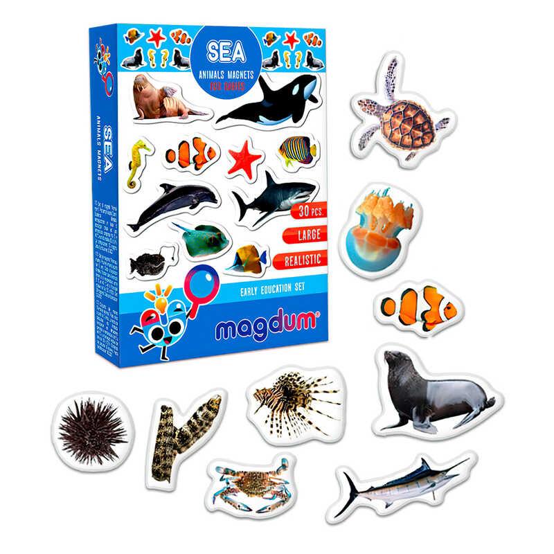 Гр Набір магнітів "Sea. Рhoto" ML4031-28 EN "Magdum", англ. мова, в коробці