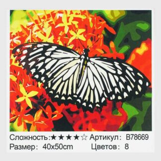 Картина по номерам + Алмазная мозаика B 78669 (30) "TK Group", 40x50 см, "Бабочка”,