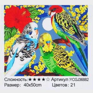 Картина по номерам YCGJ 36882 (30) "TK Group", 40х50 см, "Веселые попугаи",