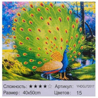 Картина по номерам + Алмазная мозайка 2в1 YHDGJ 72017 (30) "TK Group", 50х40см,