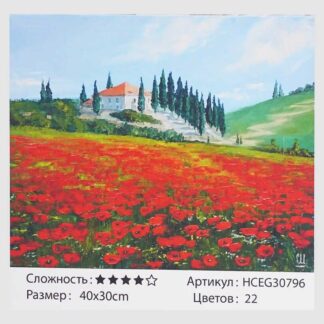 Картини за номерами HCEG 30796 (30)  "TK Group", "Макове поле", 40*30см,