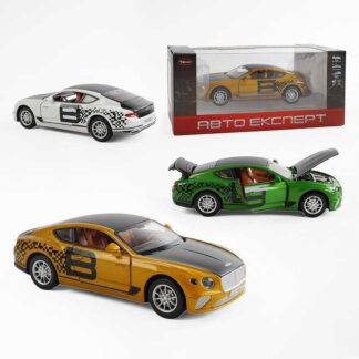 Машина TX 10355 (48/2) "Авто Експерт", 3 кольори, металопластик, масштаб 1:22, світло, звук, інерція, відчиняються двері, багажник