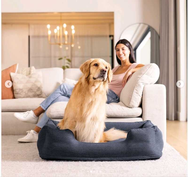 Intex Лежанка для домашніх тварин 48702 Розмір:97/74/23 см, Для собак вагою до 22.7 кг