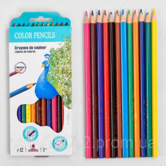 Олівці M 45621 12-12 12 кольорів